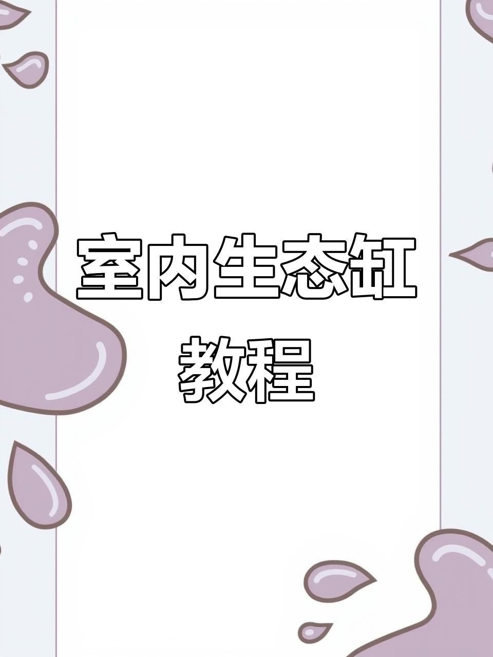 家庭水族箱布置技巧:家庭水族箱如何布置? 龍魚(yú)百科 第1張 家庭水族箱布置技巧:家庭水族箱如何布置? 家庭水族箱布置技巧:家庭水族箱如何布置? 龍魚(yú)百科 第1張