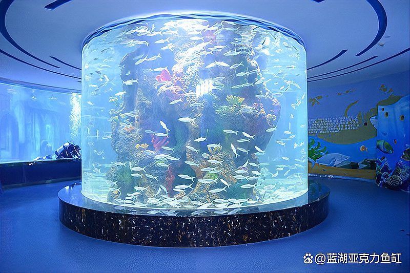 有哪些輕型材料可以制作魚缸？：亞克力魚缸制作的規格和材料選擇亞克力魚缸用什么材質最耐用