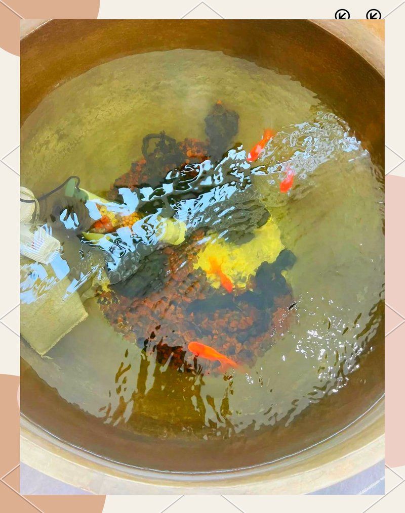 白銀魚缸店：《白銀魚缸店》 白銀魚缸店：《白銀魚缸店》 全國水族館企業名錄 第6張