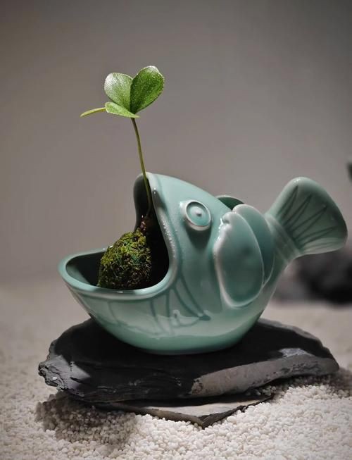 摩羯魚圖片100張：“摩羯魚圖片100張”展開呈現了一組豐富多元的視覺素材 摩羯魚圖片100張：“摩羯魚圖片100張”展開呈現了一組豐富多元的視覺素材 龍魚百科 第19張