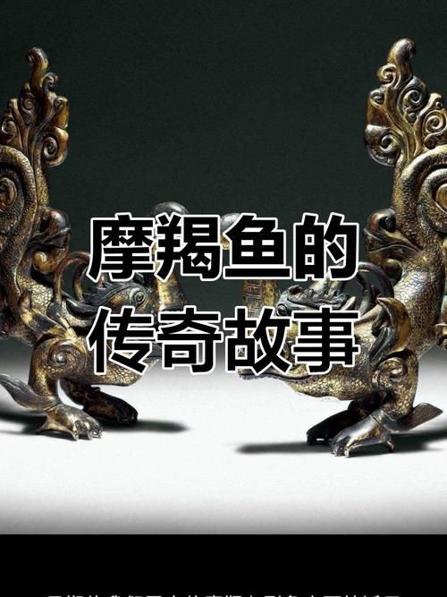 摩羯魚圖片100張：“摩羯魚圖片100張”展開呈現了一組豐富多元的視覺素材 摩羯魚圖片100張：“摩羯魚圖片100張”展開呈現了一組豐富多元的視覺素材 龍魚百科 第3張