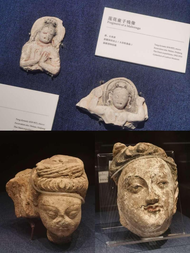 摩羯魚圖片100張：“摩羯魚圖片100張”展開呈現了一組豐富多元的視覺素材 摩羯魚圖片100張：“摩羯魚圖片100張”展開呈現了一組豐富多元的視覺素材 龍魚百科 第30張