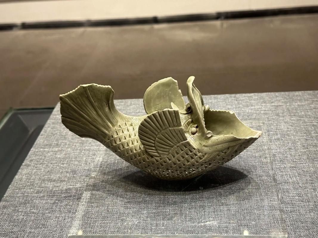 摩羯魚圖片100張：“摩羯魚圖片100張”展開呈現了一組豐富多元的視覺素材 摩羯魚圖片100張：“摩羯魚圖片100張”展開呈現了一組豐富多元的視覺素材 龍魚百科 第7張