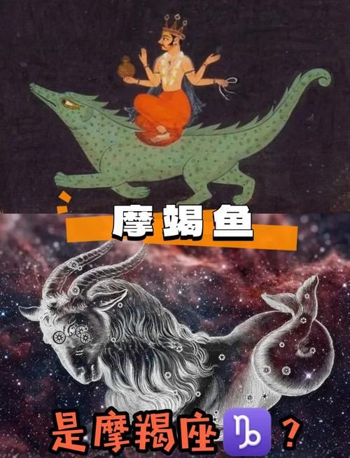 摩羯魚圖片100張：“摩羯魚圖片100張”展開呈現了一組豐富多元的視覺素材 摩羯魚圖片100張：“摩羯魚圖片100張”展開呈現了一組豐富多元的視覺素材 龍魚百科 第6張