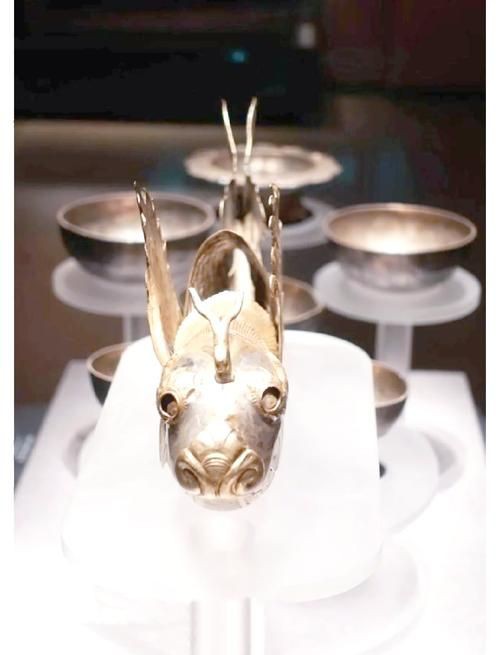 摩羯魚圖片100張：“摩羯魚圖片100張”展開呈現了一組豐富多元的視覺素材 摩羯魚圖片100張：“摩羯魚圖片100張”展開呈現了一組豐富多元的視覺素材 龍魚百科 第8張