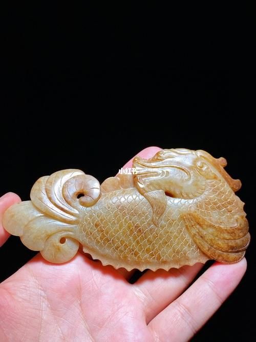 摩羯魚圖片100張：“摩羯魚圖片100張”展開呈現了一組豐富多元的視覺素材 摩羯魚圖片100張：“摩羯魚圖片100張”展開呈現了一組豐富多元的視覺素材 龍魚百科 第21張
