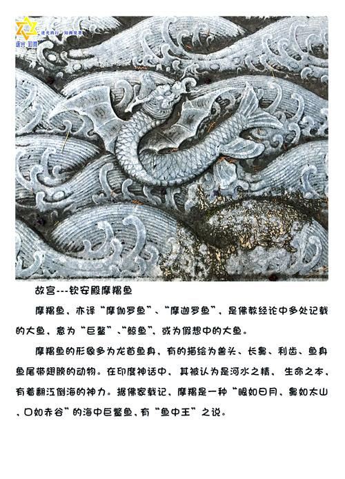 摩羯魚圖片100張：“摩羯魚圖片100張”展開呈現了一組豐富多元的視覺素材 摩羯魚圖片100張：“摩羯魚圖片100張”展開呈現了一組豐富多元的視覺素材 龍魚百科 第20張