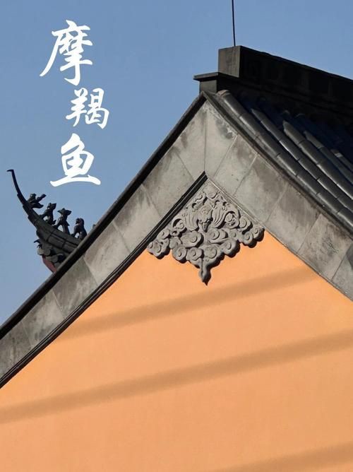 摩羯魚圖片100張：“摩羯魚圖片100張”展開呈現了一組豐富多元的視覺素材 摩羯魚圖片100張：“摩羯魚圖片100張”展開呈現了一組豐富多元的視覺素材 龍魚百科 第15張