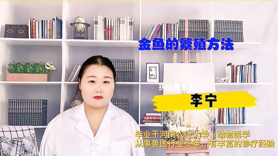 小金魚懷孕后多久會產卵？：小金魚懷孕多久生小金魚