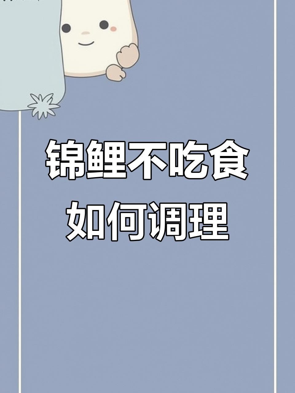如何預(yù)防魚突然不吃食？：全民小視頻，00:59