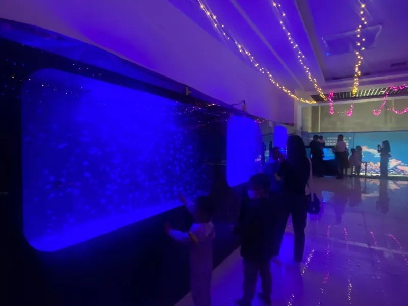 和田水族店：和田市首家海洋生物館開業(yè)引來眾多游客