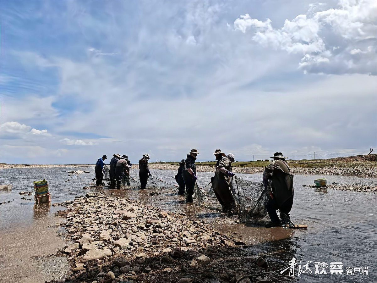 剛察龍魚店：剛察縣與青海湖裸鯉（俗稱湟魚）相關的生態旅游和漁業保護