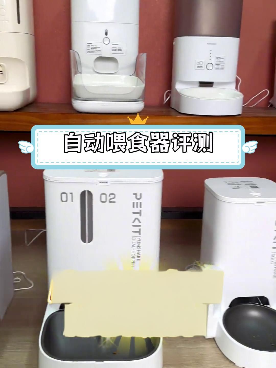 貓咪自動喂食器哪一款好用：貓咪自動喂食器測評