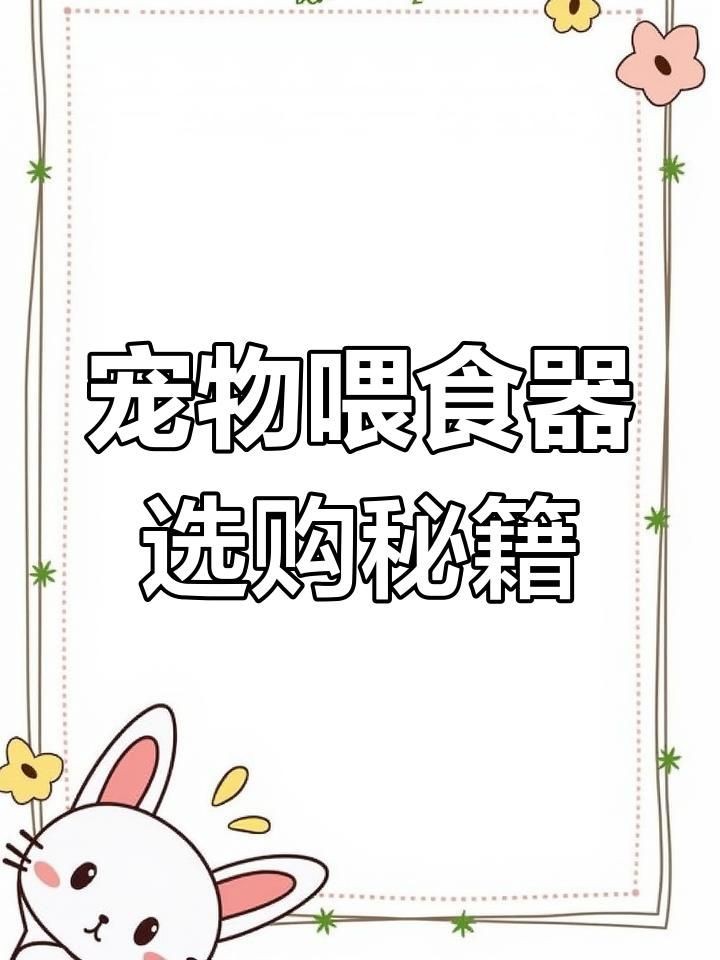 貓咪自動喂食器哪一款好用：貓咪自動喂食器測評