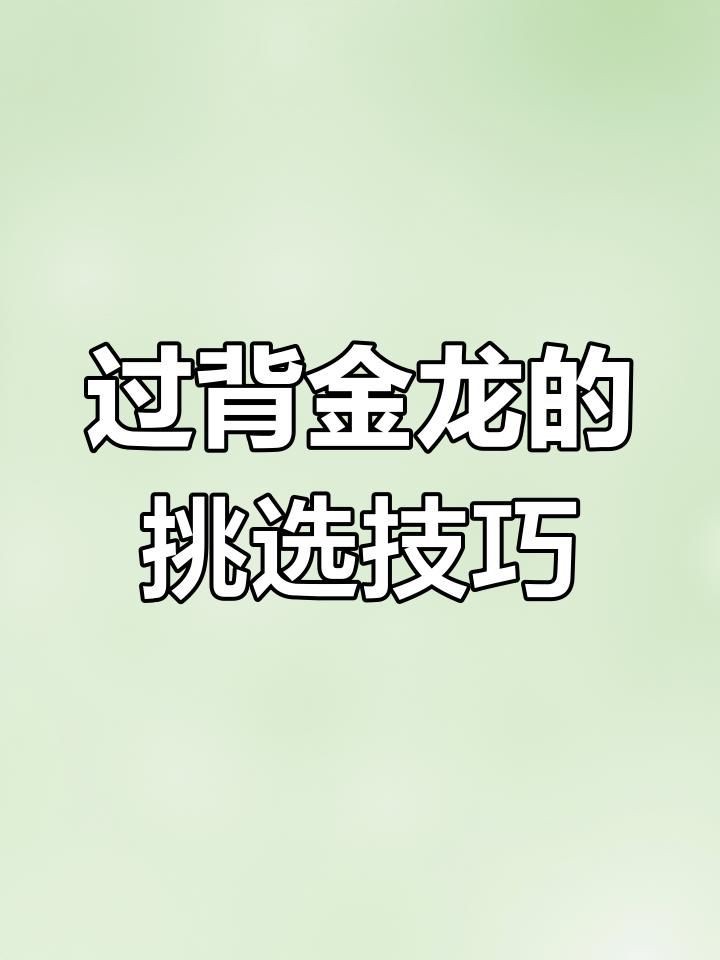 如何選購高品質的金龍魚過背？：如何選購高品質的金龍魚過背