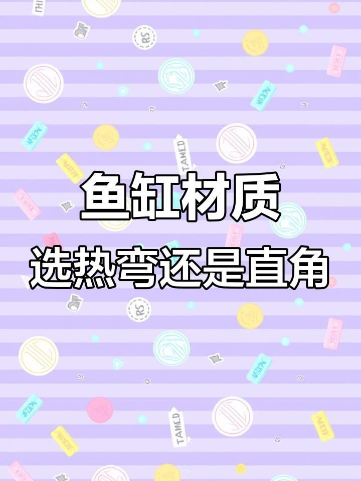熱彎魚缸和超白玻璃哪個好：如何選擇魚缸材質超白缸和熱彎缸