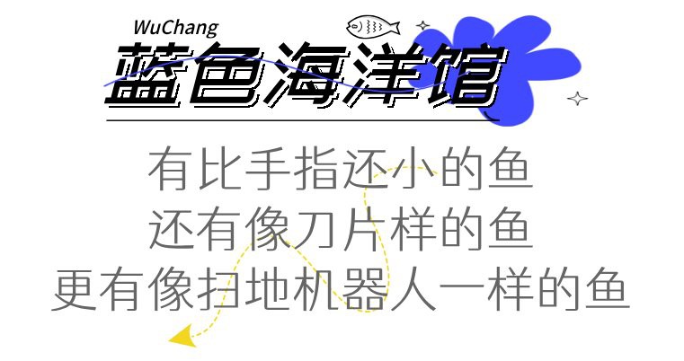 五營水族店：五營水族店地址在哪里