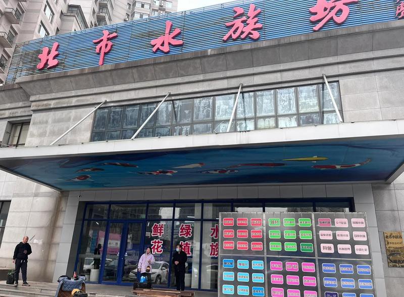 北市水族店：北市水族坊有哪些特色
