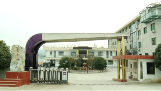 南鄭龍魚店：南信水族龍魚貿易領域更突出的代表是廣東的“南信水族龍魚貿易”