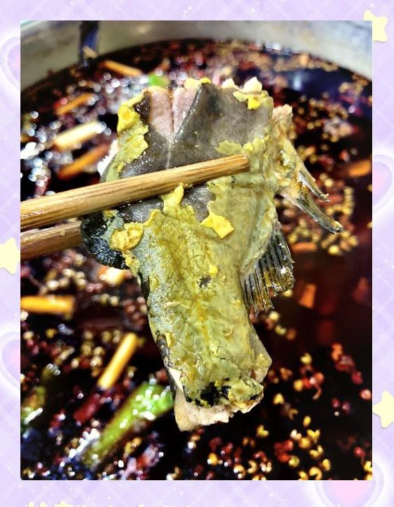 南鄭龍魚店：南信水族龍魚貿易領域更突出的代表是廣東的“南信水族龍魚貿易”