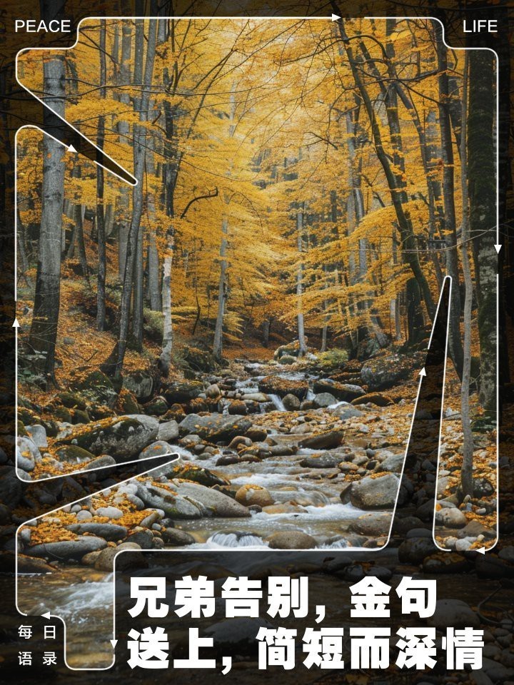 臨走留下的話叫什么言：臨走留下的話是什么？ 臨走留下的話叫什么言：臨走留下的話是什么？ 龍魚論壇 第3張