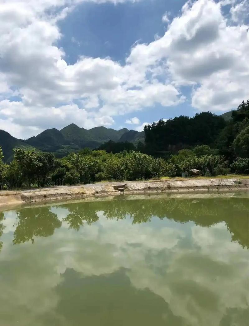 義烏水族店:義烏水族市場在哪里義烏水族市場在哪里推薦幾家水族店 全國水族館企業名錄 第1張 義烏水族店:義烏水族市場在哪里義烏水族市場在哪里推薦幾家水族店 義烏水族店:義烏水族市場在哪里義烏水族市場在哪里推薦幾家水族店 全國水族館企業名錄 第1張