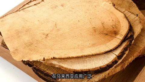 東革阿里可以降尿酸嗎：東革阿里對降尿酸有效嗎