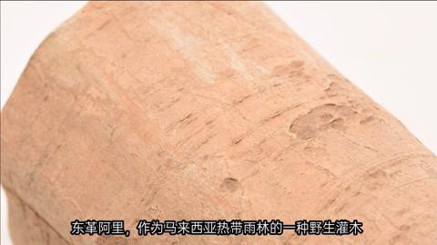 東革阿里可以降尿酸嗎：東革阿里對降尿酸有效嗎
