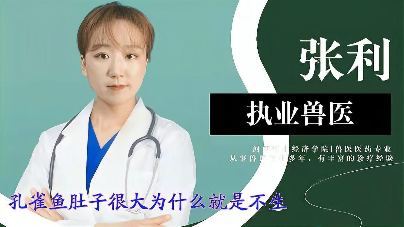 孔雀魚(yú)肚子很大為什么就是不生:孔雀魚(yú)出現(xiàn)腹部膨大但遲遲不生產(chǎn)的情況可能由以下原因及解決方案 龍魚(yú)百科 第4張 孔雀魚(yú)肚子很大為什么就是不生:孔雀魚(yú)出現(xiàn)腹部膨大但遲遲不生產(chǎn)的情況可能由以下原因及解決方案 孔雀魚(yú)肚子很大為什么就是不生:孔雀魚(yú)出現(xiàn)腹部膨大但遲遲不生產(chǎn)的情況可能由以下原因及解決方案 龍魚(yú)百科 第4張