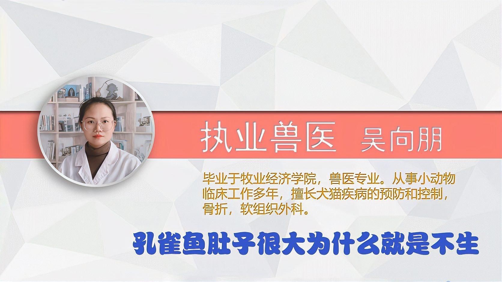 孔雀魚(yú)肚子很大為什么就是不生:孔雀魚(yú)出現(xiàn)腹部膨大但遲遲不生產(chǎn)的情況可能由以下原因及解決方案 龍魚(yú)百科 第3張 孔雀魚(yú)肚子很大為什么就是不生:孔雀魚(yú)出現(xiàn)腹部膨大但遲遲不生產(chǎn)的情況可能由以下原因及解決方案 孔雀魚(yú)肚子很大為什么就是不生:孔雀魚(yú)出現(xiàn)腹部膨大但遲遲不生產(chǎn)的情況可能由以下原因及解決方案 龍魚(yú)百科 第3張