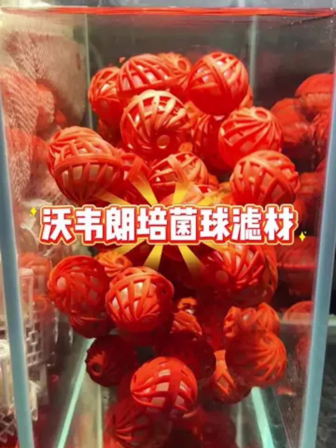 國(guó)產(chǎn)水族濾材哪個(gè)牌子好：國(guó)產(chǎn)水族濾材品牌2025年呈現(xiàn)多元化競(jìng)爭(zhēng)格局