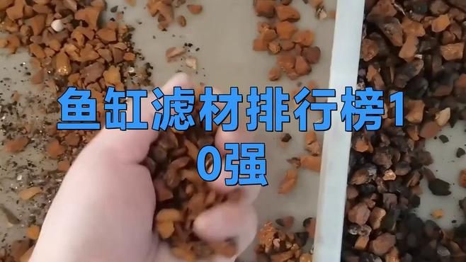 國(guó)產(chǎn)水族濾材哪個(gè)牌子好：國(guó)產(chǎn)水族濾材品牌2025年呈現(xiàn)多元化競(jìng)爭(zhēng)格局