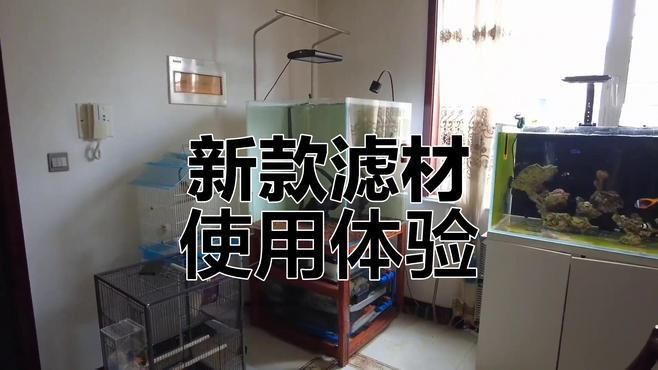 國(guó)產(chǎn)水族濾材哪個(gè)牌子好：國(guó)產(chǎn)水族濾材品牌2025年呈現(xiàn)多元化競(jìng)爭(zhēng)格局