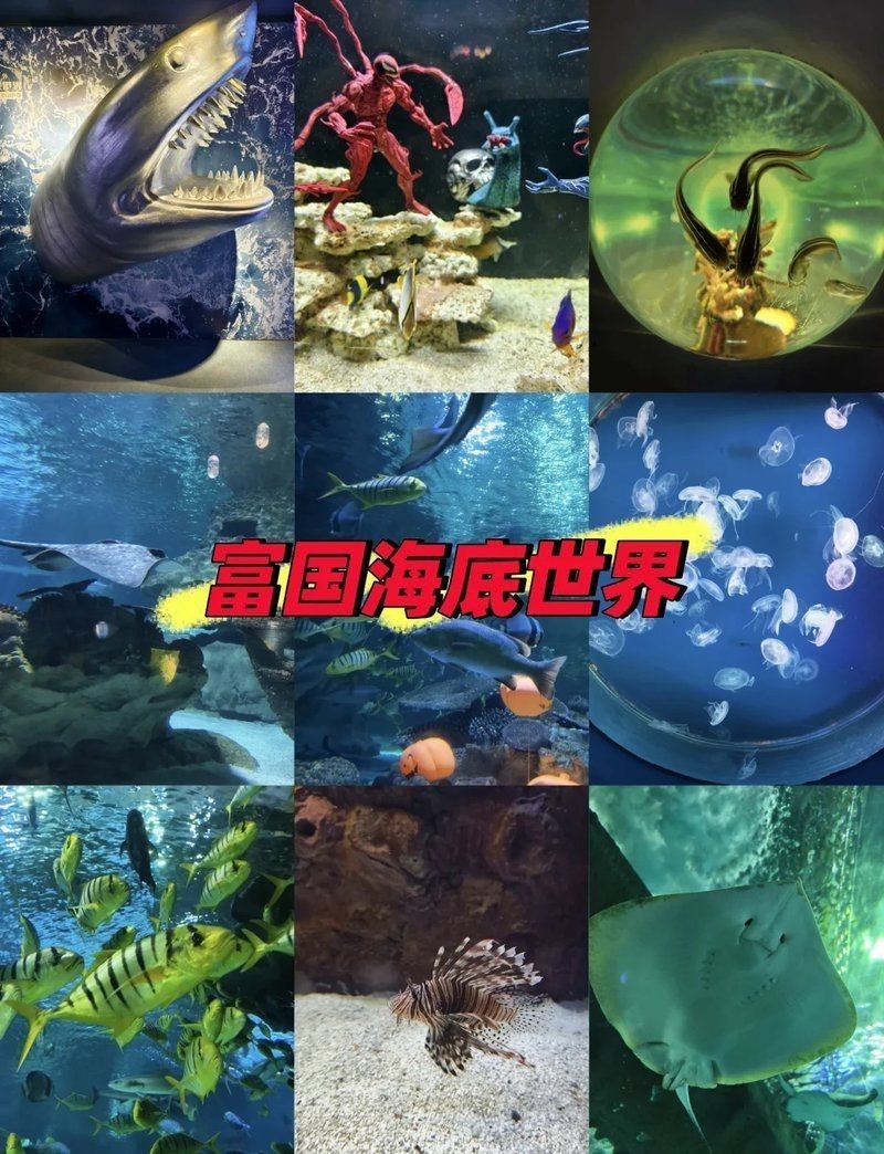 朝陽水族館：<strong><mark>北京</mark></strong>富國海底世界