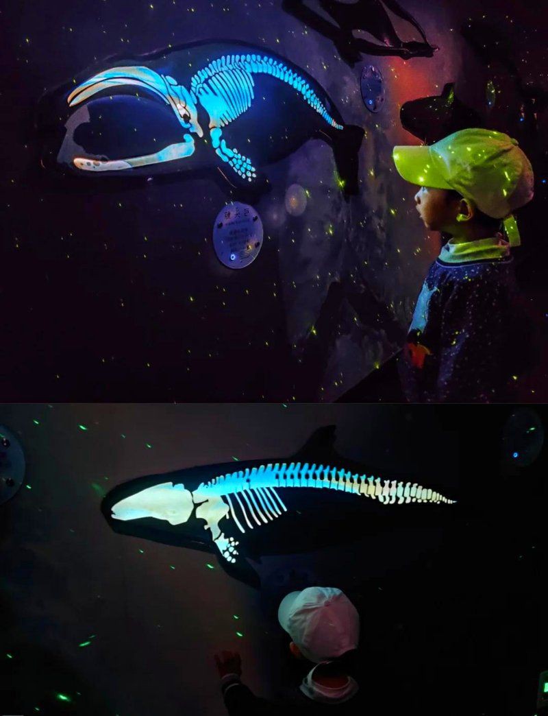 朝陽水族館：北京富國海底世界