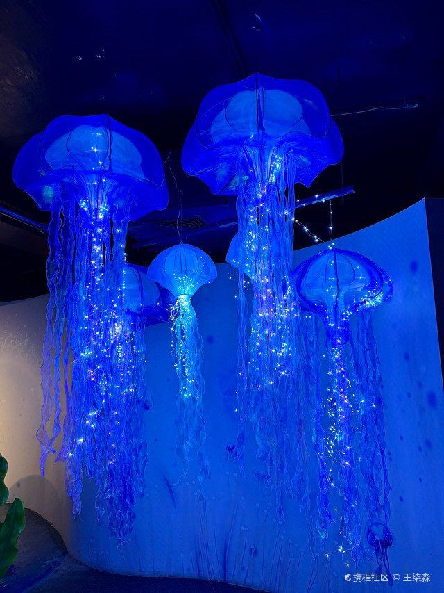朝陽水族館：北京富國海底世界