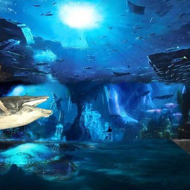 甘孜藏族自治州魚缸定做：甘孜州商務局甘孜州商務局甘孜州商務局甘孜州商務局 甘孜藏族自治州魚缸定做：甘孜州商務局甘孜州商務局甘孜州商務局甘孜州商務局 全國水族館企業名錄 第5張