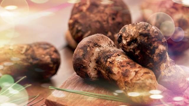 甘孜藏族自治州魚缸定做：甘孜州商務局甘孜州商務局甘孜州商務局甘孜州商務局 甘孜藏族自治州魚缸定做：甘孜州商務局甘孜州商務局甘孜州商務局甘孜州商務局 全國水族館企業名錄 第3張