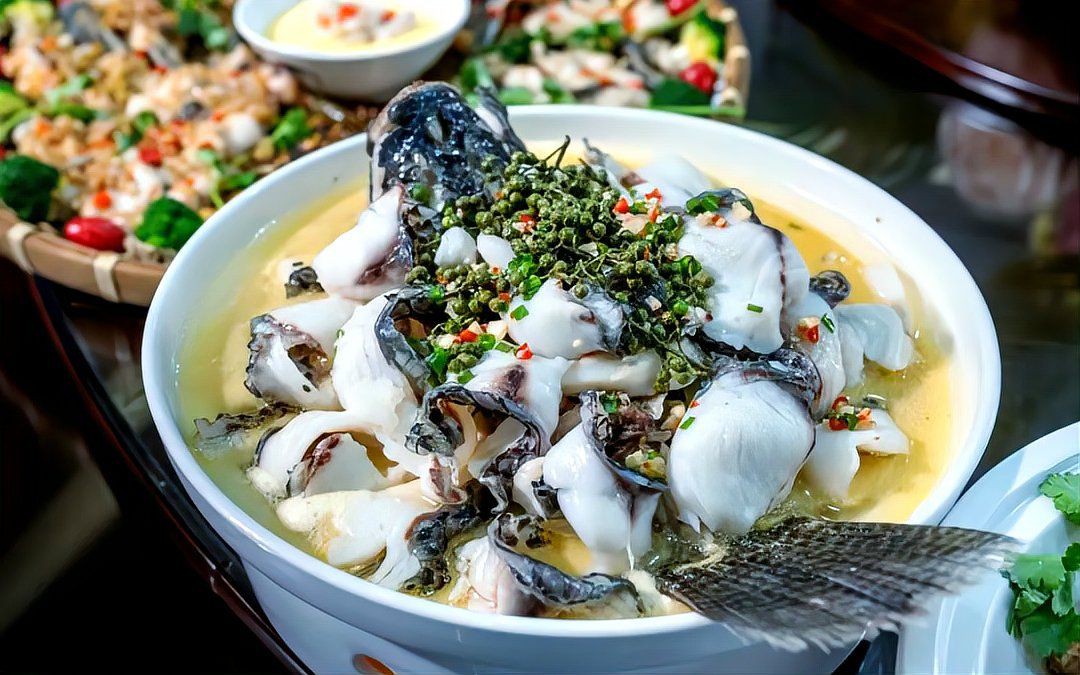 錫林郭勒盟龍魚店：錫林郭勒盟紅龍魚價格2688貴嗎