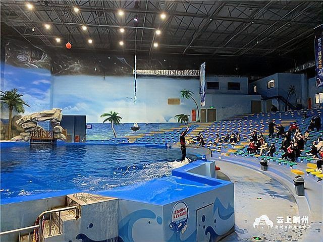 荊州水族館:探秘荊州水族館:vr場跨越水陸的奇幻之旅,vr場跨越水陸 全國水族館企業名錄 第4張 荊州水族館:探秘荊州水族館:vr場跨越水陸的奇幻之旅,vr場跨越水陸 荊州水族館:探秘荊州水族館:vr場跨越水陸的奇幻之旅,vr場跨越水陸 全國水族館企業名錄 第4張