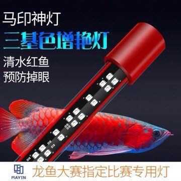馬印神燈真假分辨，如何辨別馬印神燈的真假 馬印神燈真假分辨，如何辨別馬印神燈的真假 龍魚百科 第6張