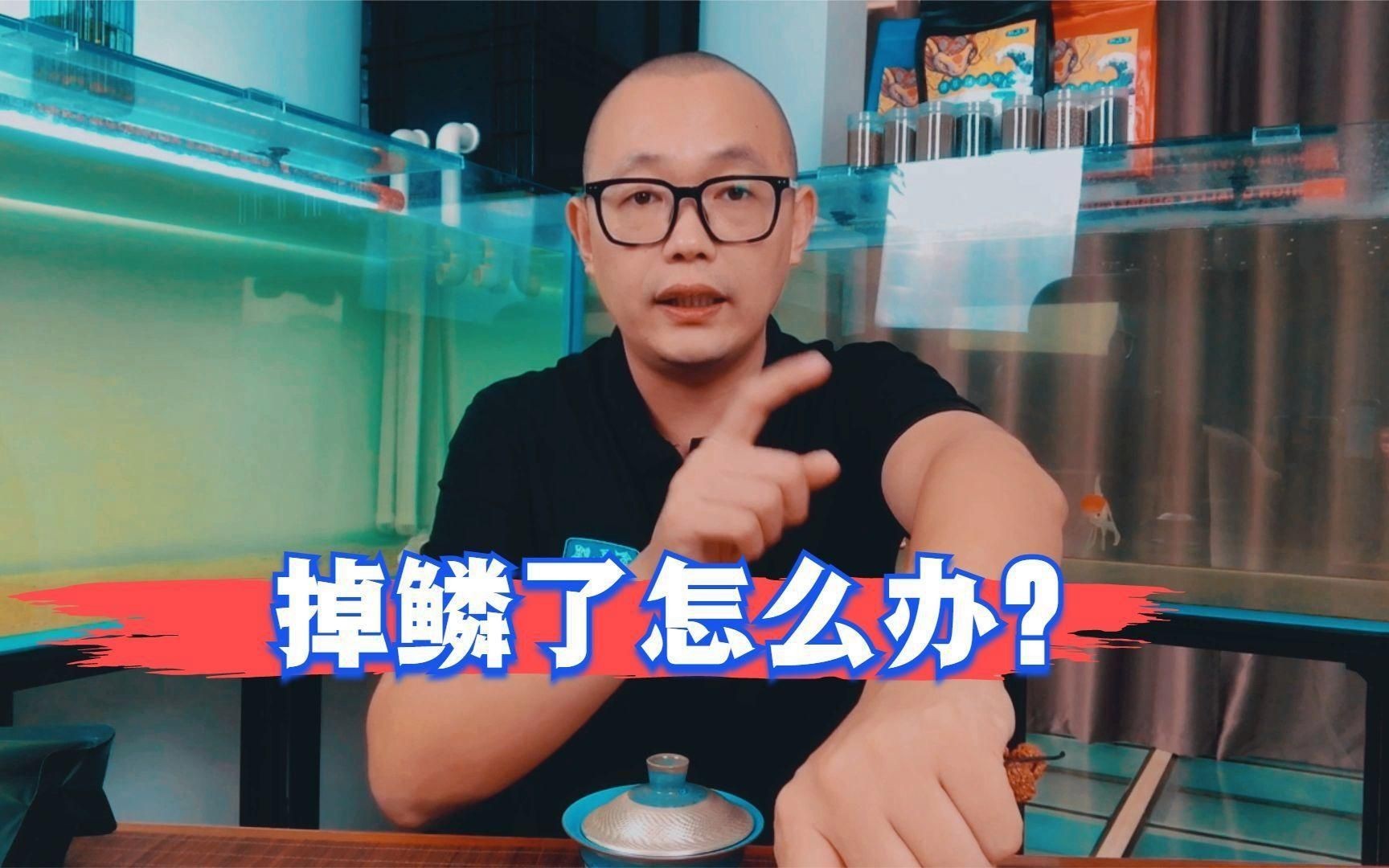 有哪些方法可以預防金魚掉鱗？：家養金魚掉鱗是怎么回事