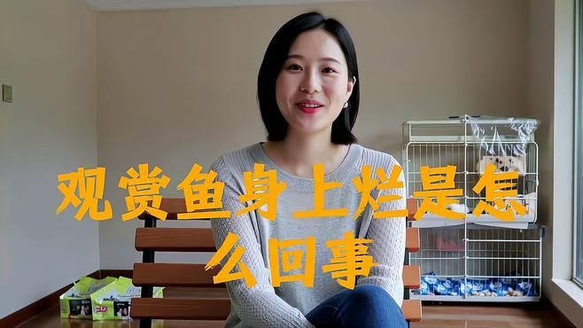 如何預防魚破皮？：榮耀小記觀賞魚身上有潰爛現象怎么回事寵物營養師