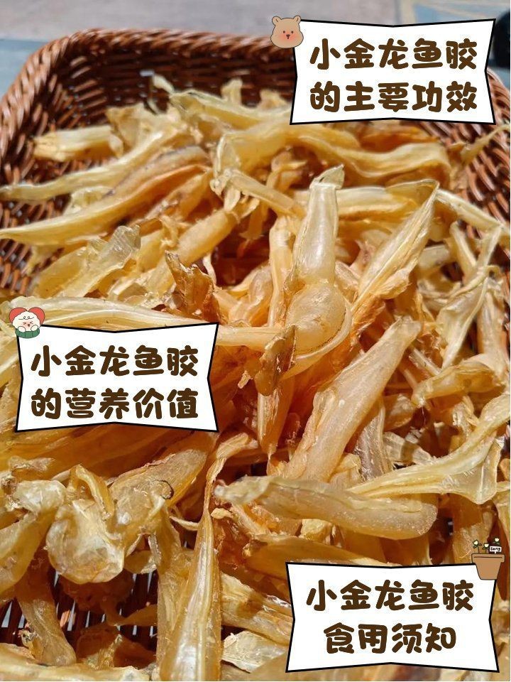 小金龍魚膠建議買嗎：小金龍魚膠作為日常滋補品 小金龍魚膠建議買嗎：小金龍魚膠作為日常滋補品 龍魚百科 第3張