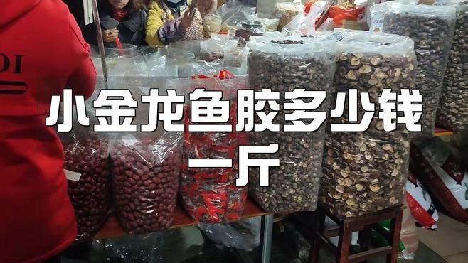 小金龍魚膠建議買嗎：小金龍魚膠作為日常滋補品 小金龍魚膠建議買嗎：小金龍魚膠作為日常滋補品 龍魚百科 第6張