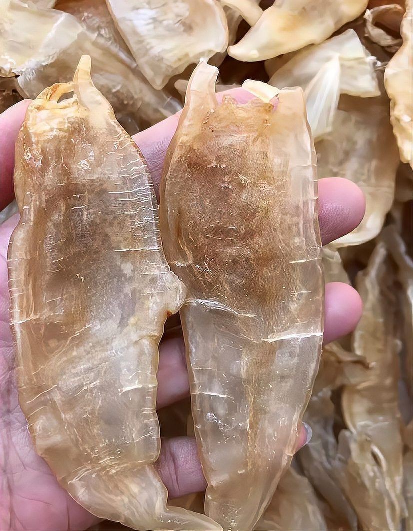 小金龍魚膠建議買嗎：小金龍魚膠作為日常滋補品 小金龍魚膠建議買嗎：小金龍魚膠作為日常滋補品 龍魚百科 第9張