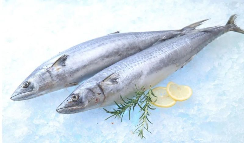 有哪些低汞金槍魚品種推薦？：低汞金槍魚有哪些 有哪些低汞金槍魚品種推薦？：低汞金槍魚有哪些 龍魚百科 第8張