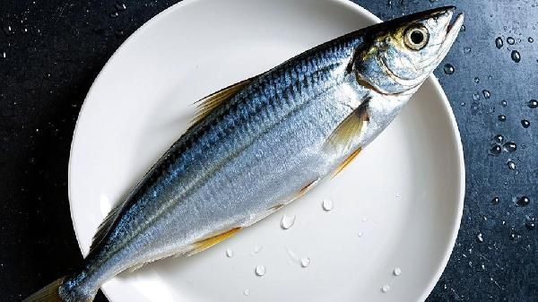 有哪些低汞金槍魚品種推薦？：低汞金槍魚有哪些 有哪些低汞金槍魚品種推薦？：低汞金槍魚有哪些 龍魚百科 第2張
