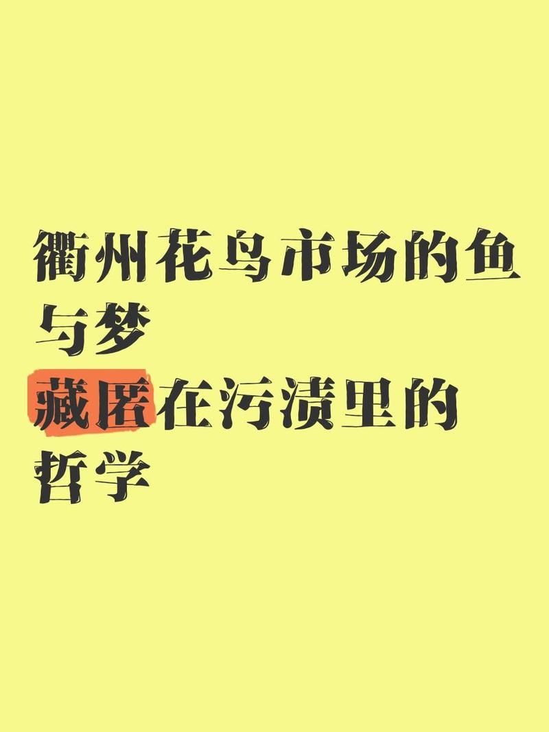 衢州魚缸店，中國(guó)首家魚子醬體驗(yàn)店落戶浙江衢州