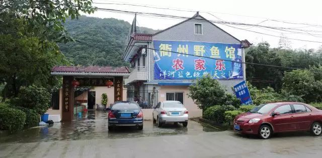 衢州魚缸店，中國首家魚子醬體驗店落戶浙江衢州